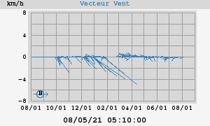 Wind Vector